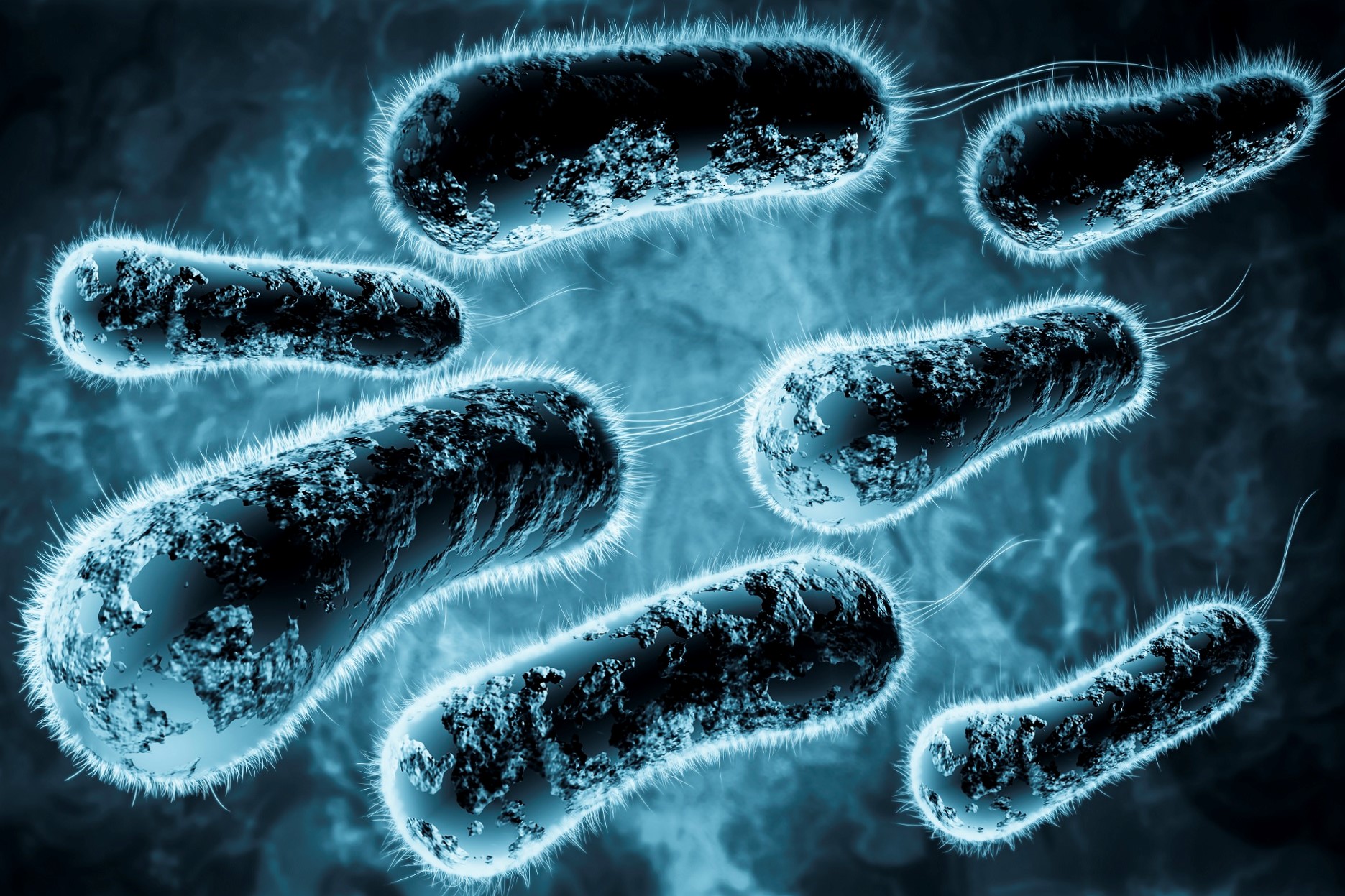 El uso del Zapper y sus principales mitos Merlin Salud