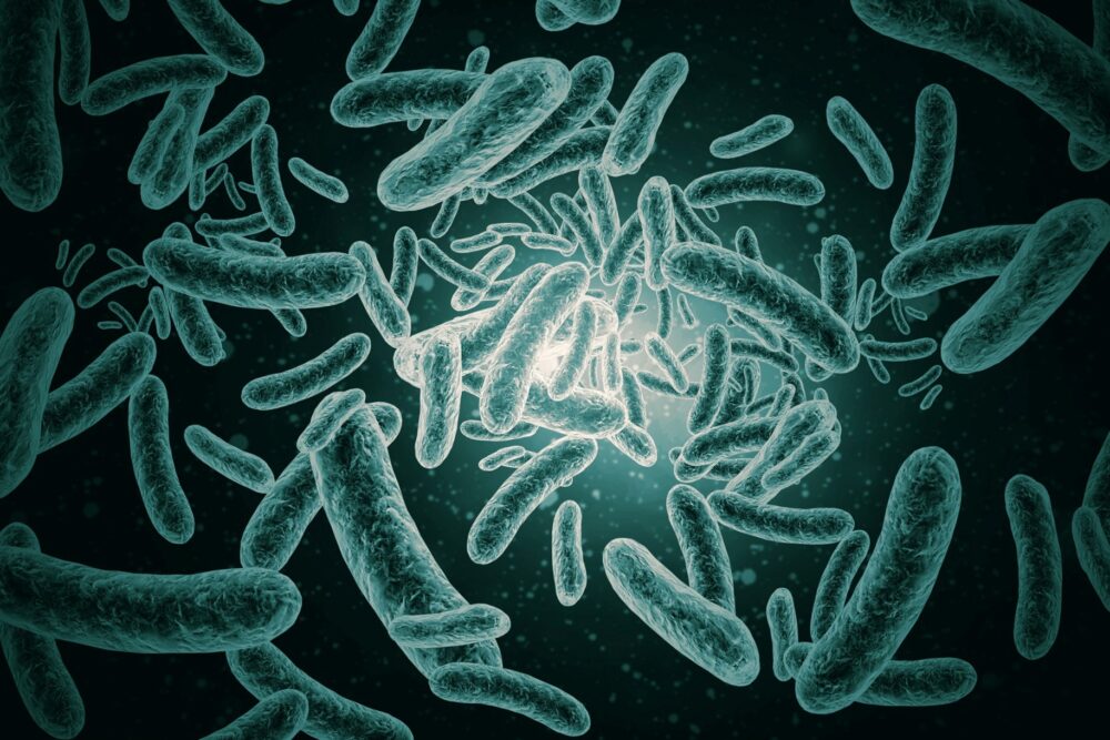 ¿Se puede confiar en el Zapper y dejar nuestra salud en sus manos? Merlin Salud