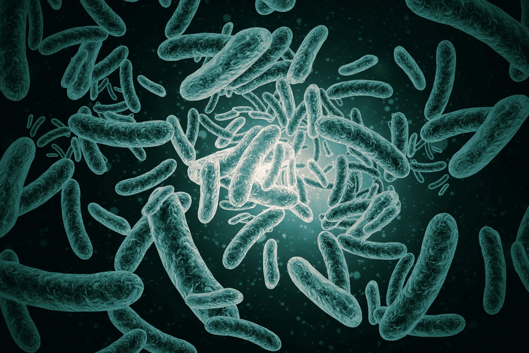 ¿Se puede confiar en el Zapper y dejar nuestra salud en sus manos